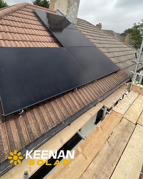 Solar panel maintenance in North London by Keenan Solar with cleaning and bird proofing